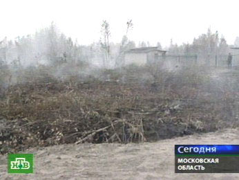 Подмосковные  лесные пожары  fire.nad.ru