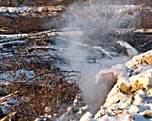 torf_2.jpg (22775 bytes)