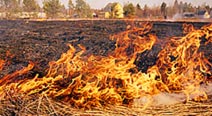 Лесные пожары в России / горит трава / ФОТО Александра ДРОЗДОВА
